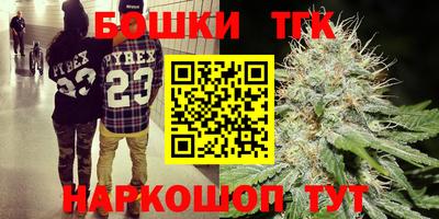 apvp Краснодар