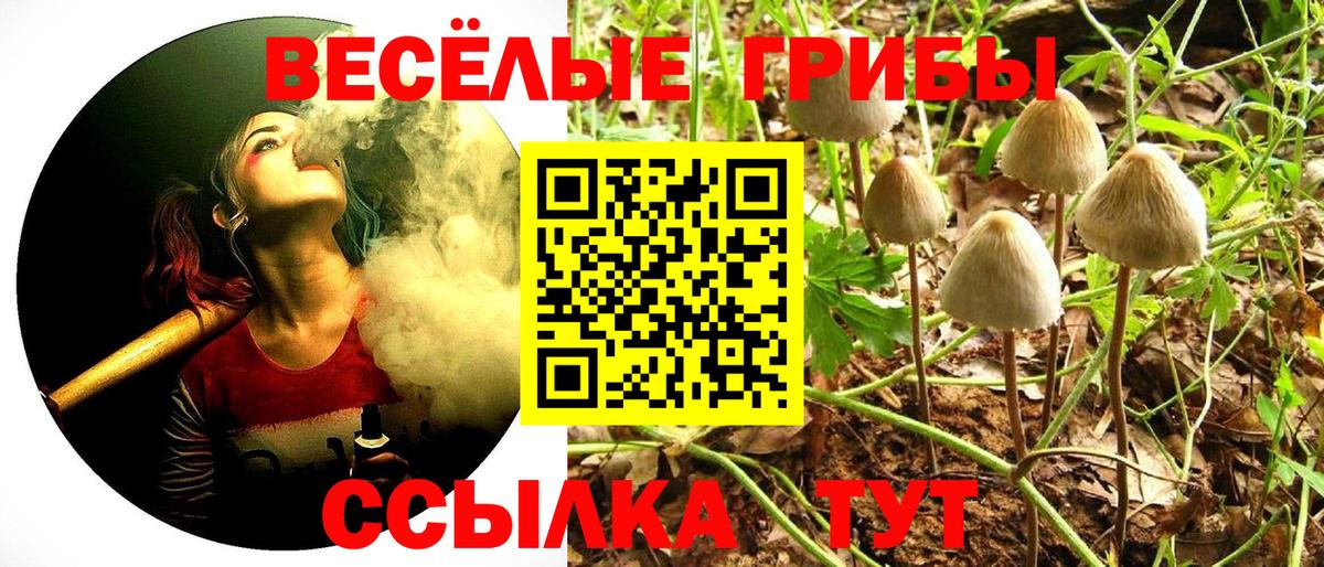Биробиджан  Псилоцибиновые грибы ЛСД  Вход с VPN 